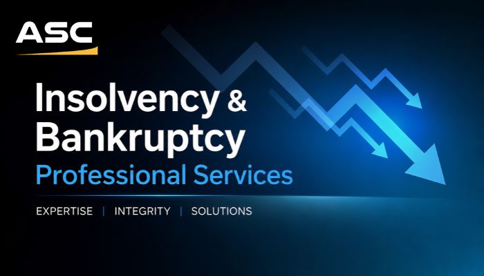 Insolvency & Bankruptcy Professional Services